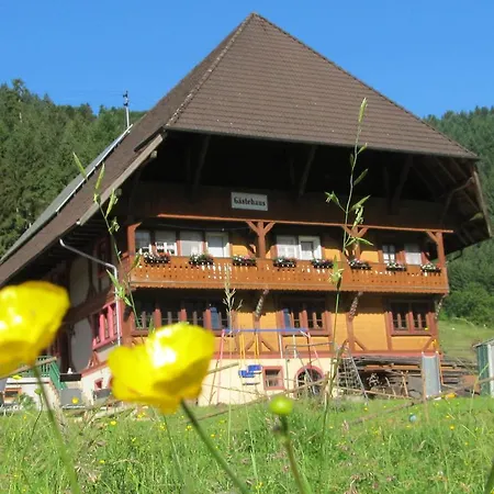 Waeldebauernhof Gutach