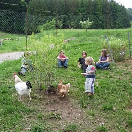 Waeldebauernhof 3* Gutach