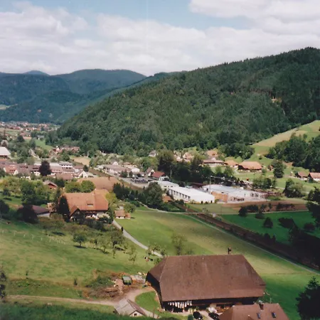 Waeldebauernhof Guest house Gutach