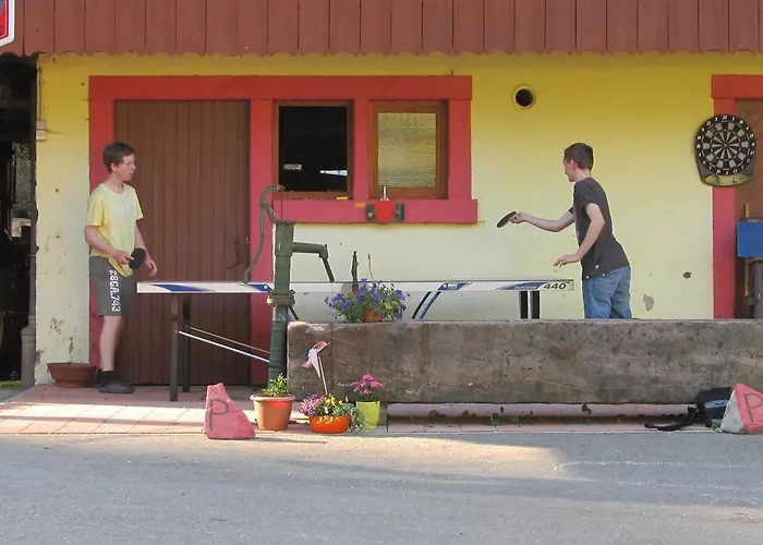 Waeldebauernhof Gutach