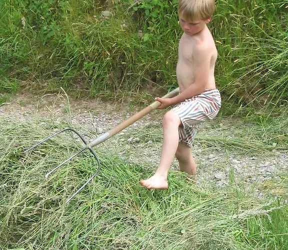 Waeldebauernhof 3* Gutach