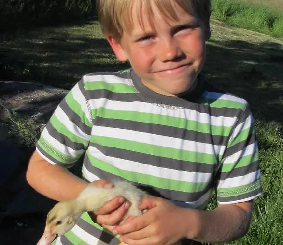 Waeldebauernhof Gutach