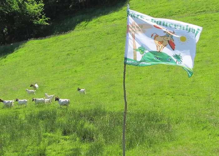 Pensjonat Waeldebauernhof Gutach