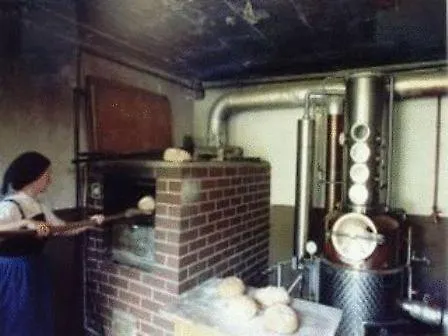 Waeldebauernhof Gutach