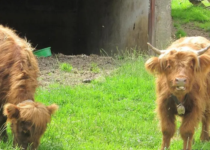 Waeldebauernhof 3* Gutach